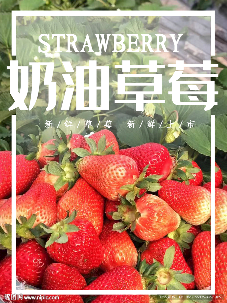 奶油草莓