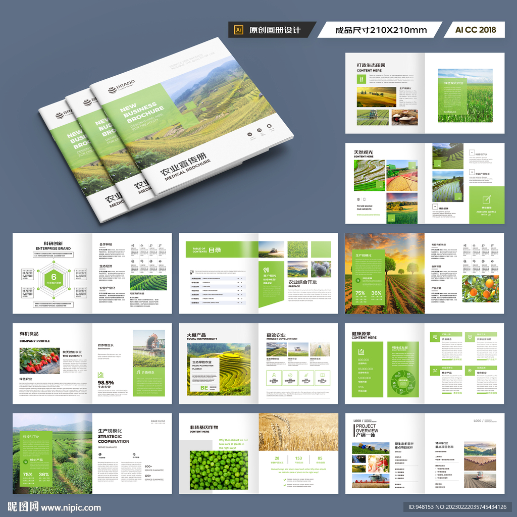 方形农业画册模板