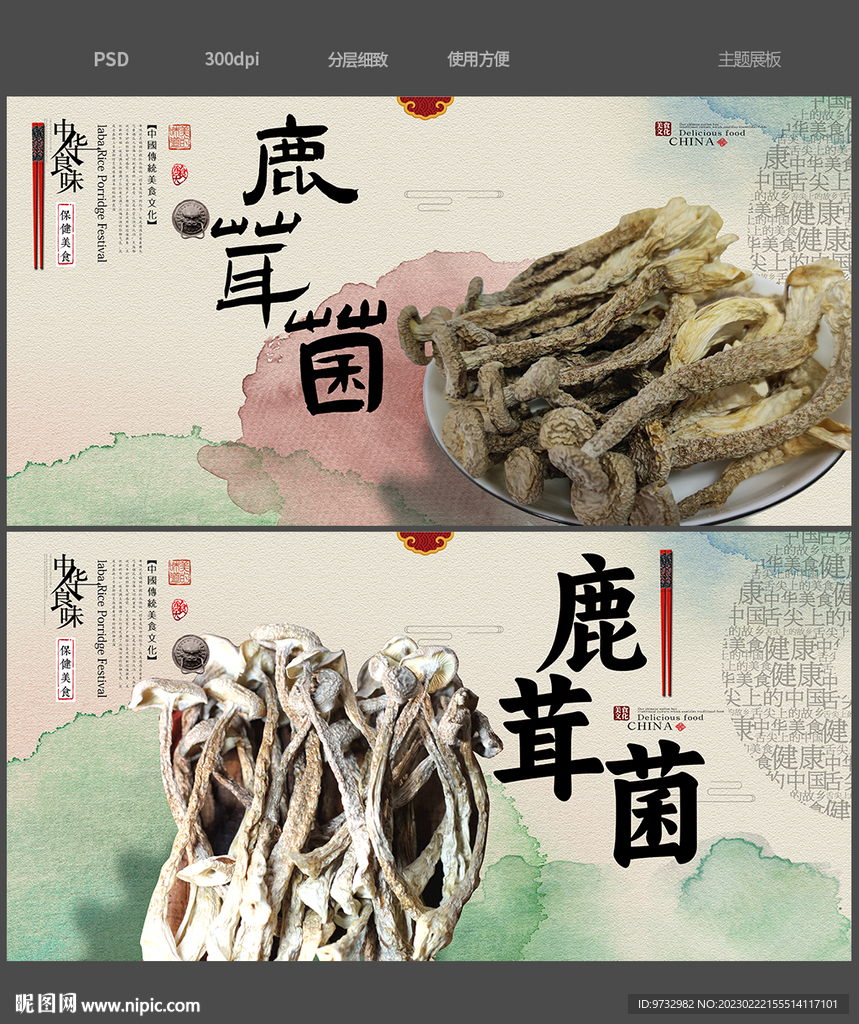 鹿茸菌