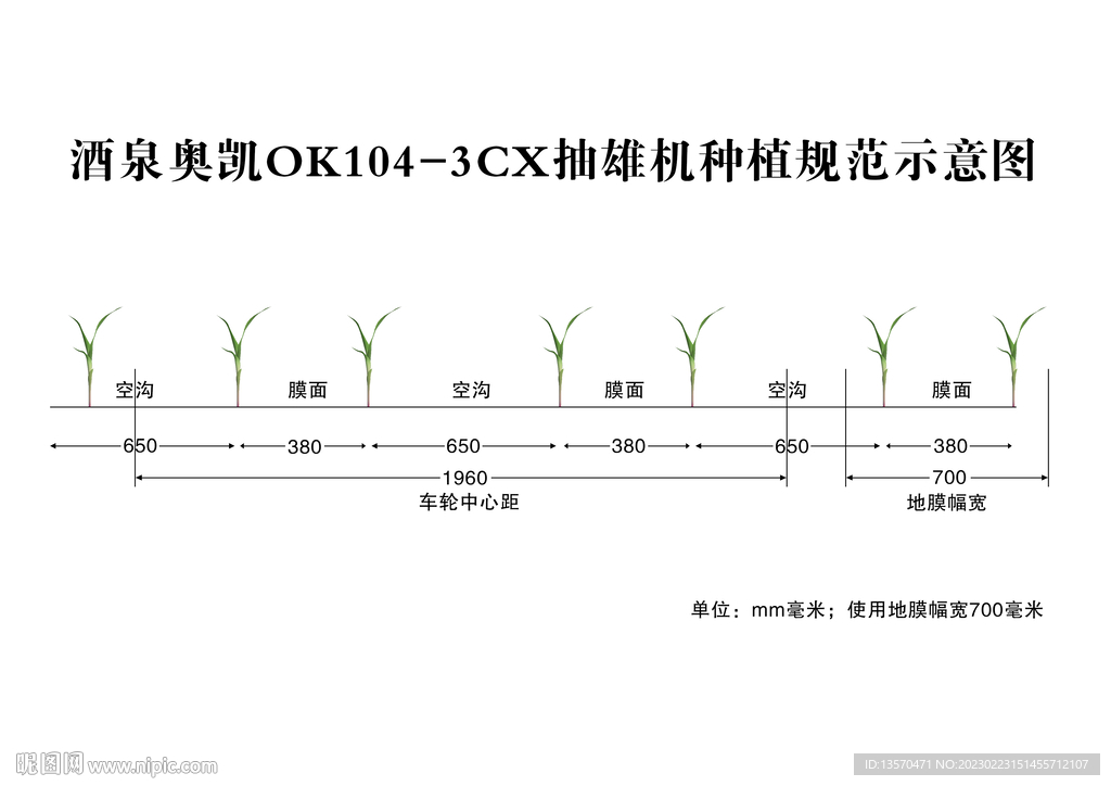 抽雄机种植规范示意图