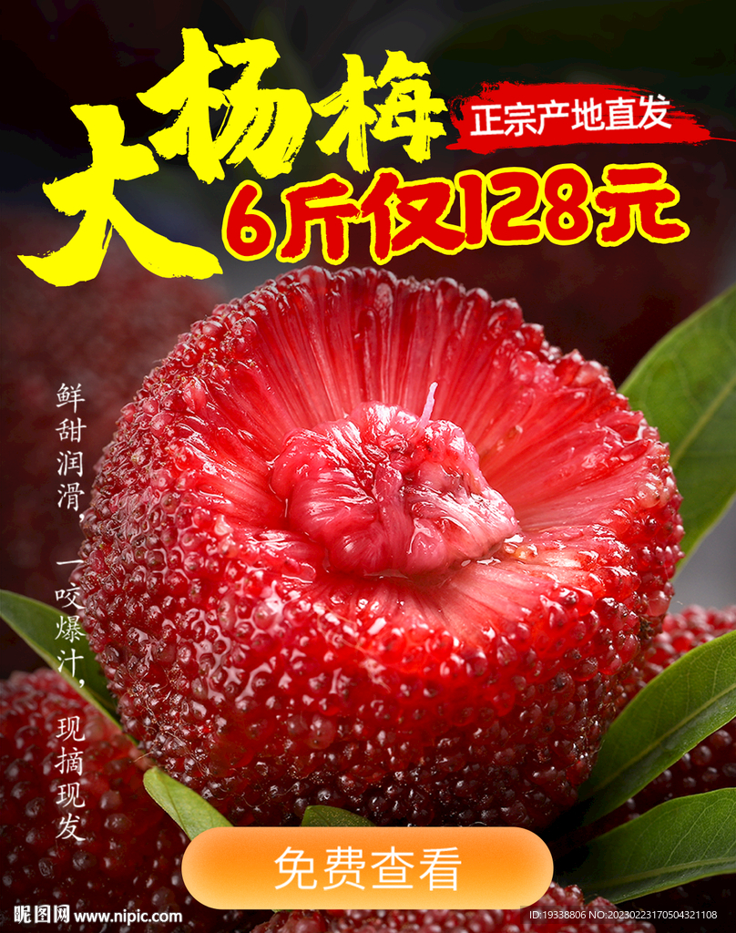 杨梅电商海报