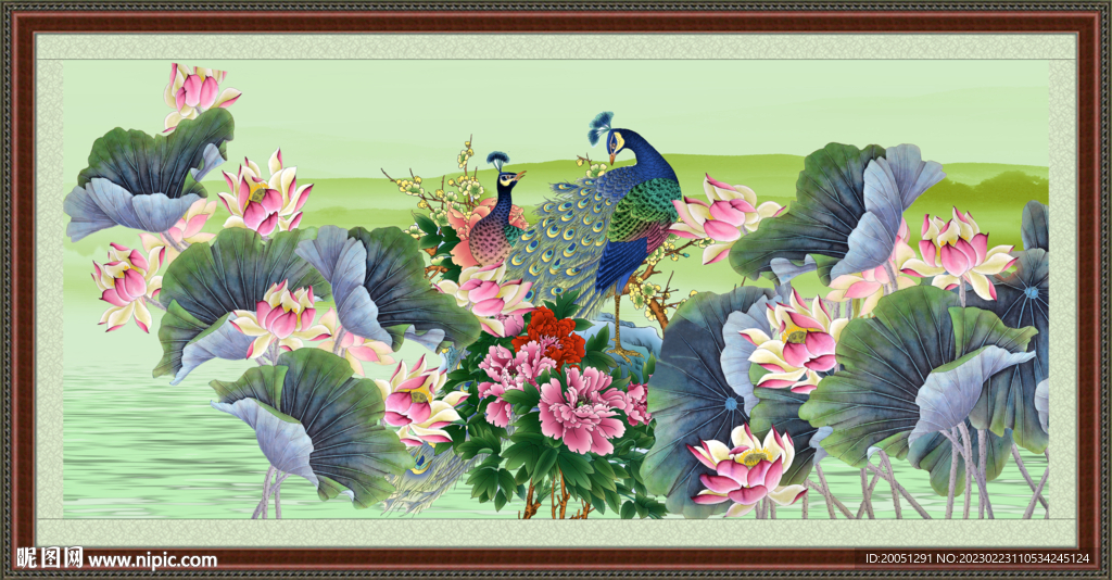 荷花 