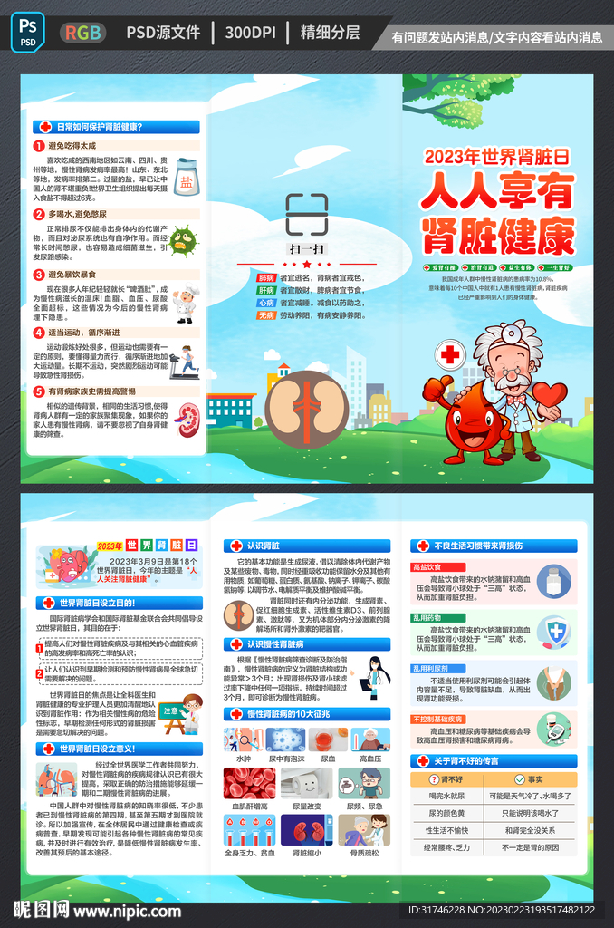 2023年世界肾脏病日折页