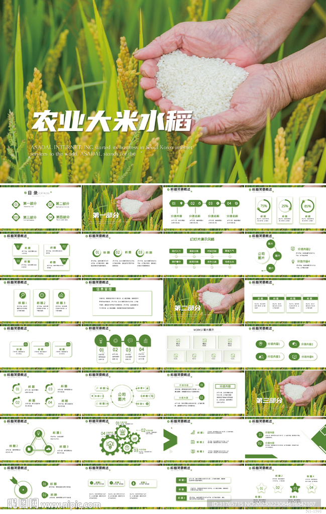 绿色农业大米水稻种植业PPT