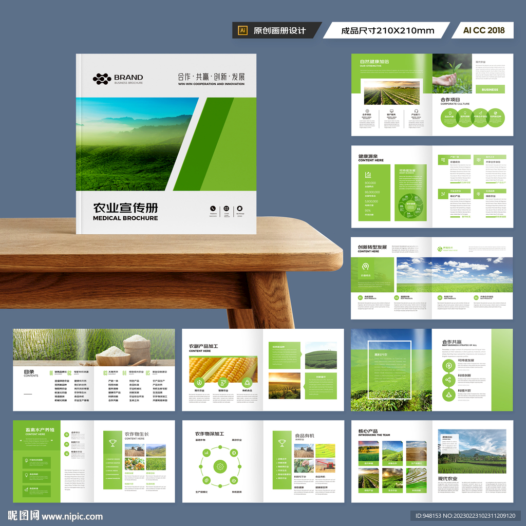 方形农业合作社画册