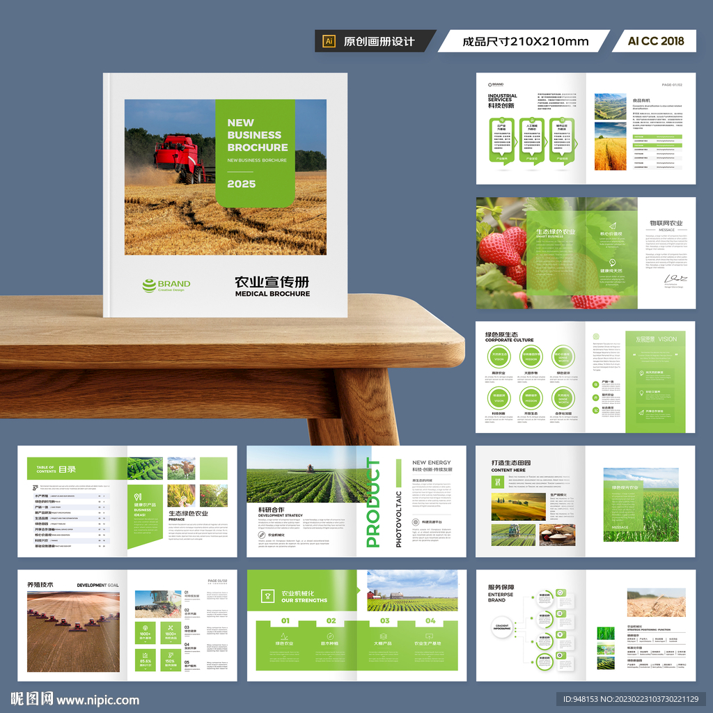 方形农产品宣传册