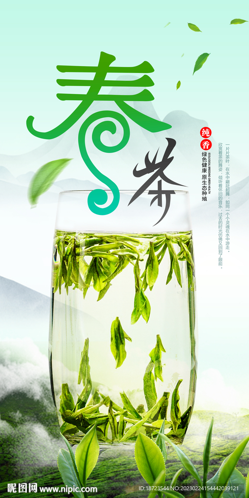 春茶