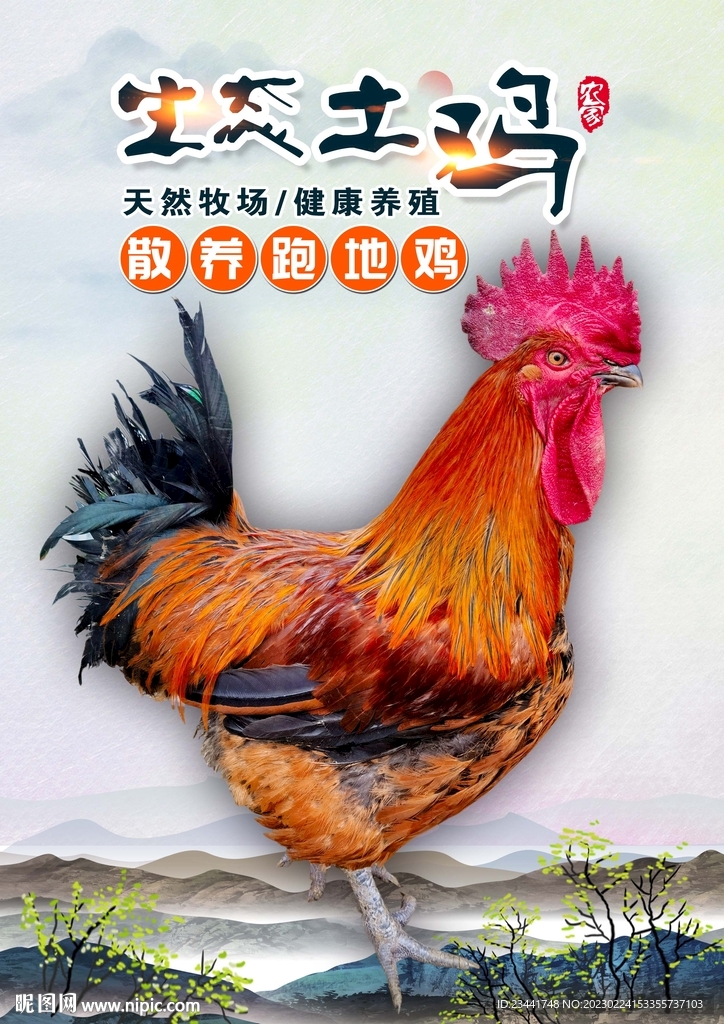 农家土鸡