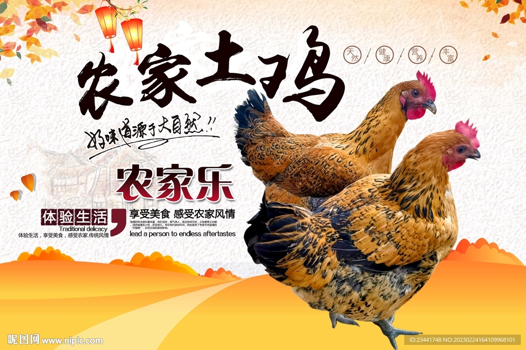 农家土鸡