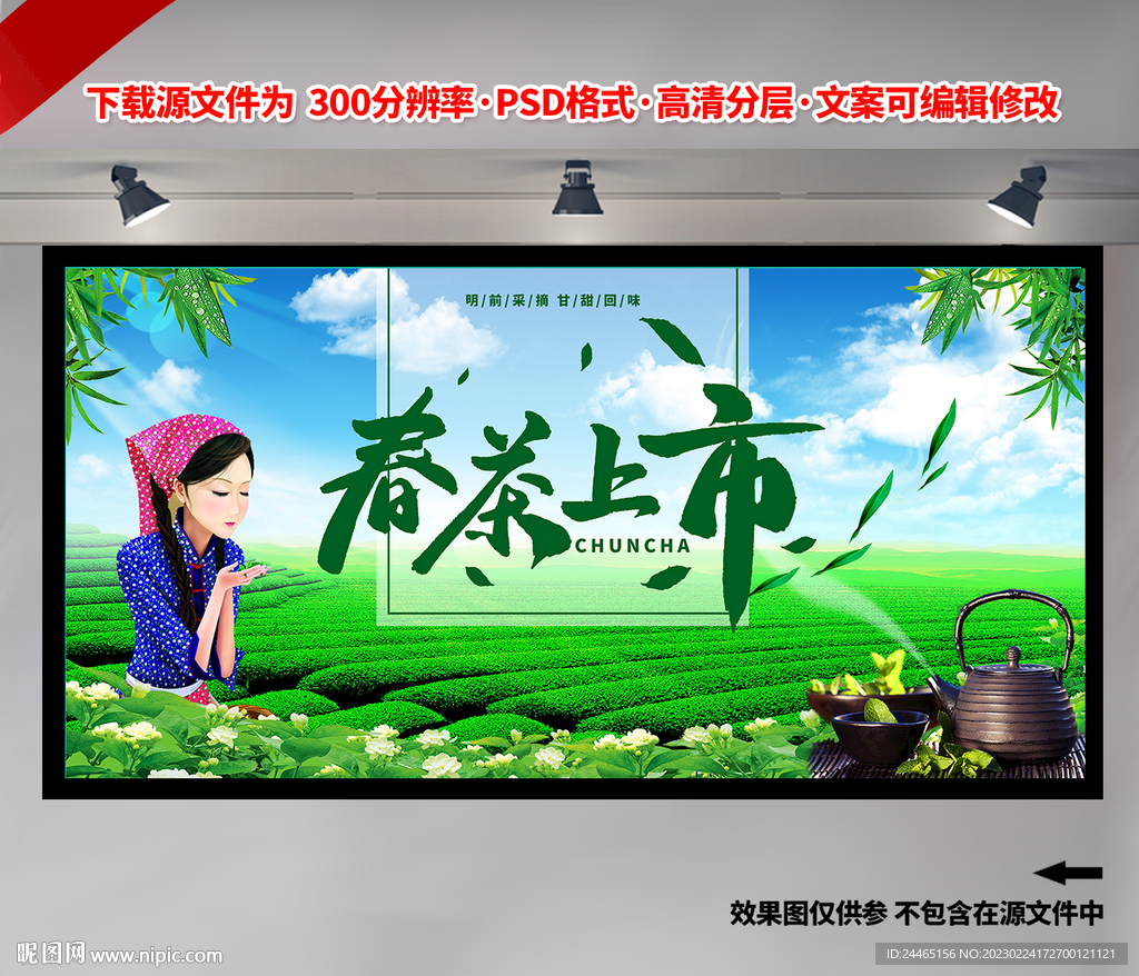 春茶上市