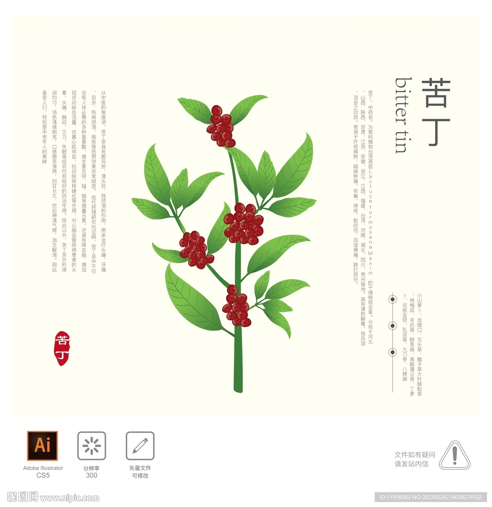 苦丁 插画