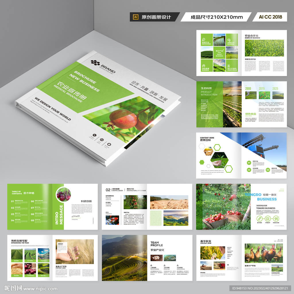 方形农产品画册