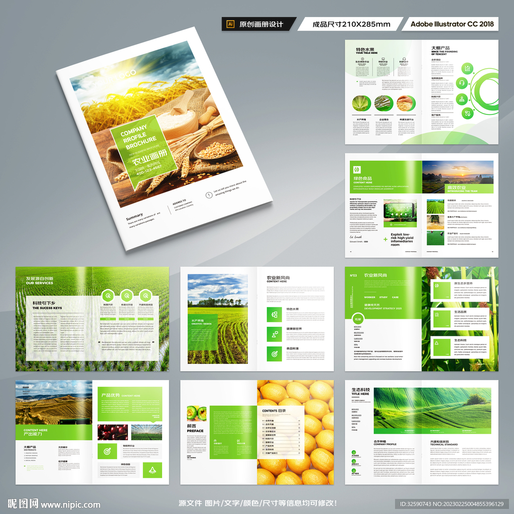 农产品宣传册