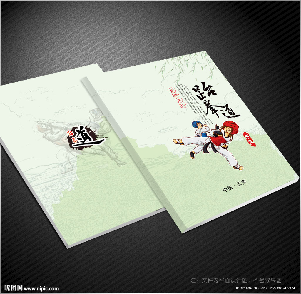 跆拳道封面