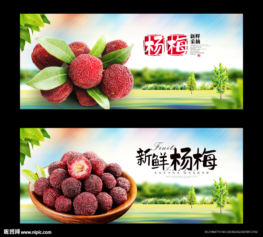 杨梅