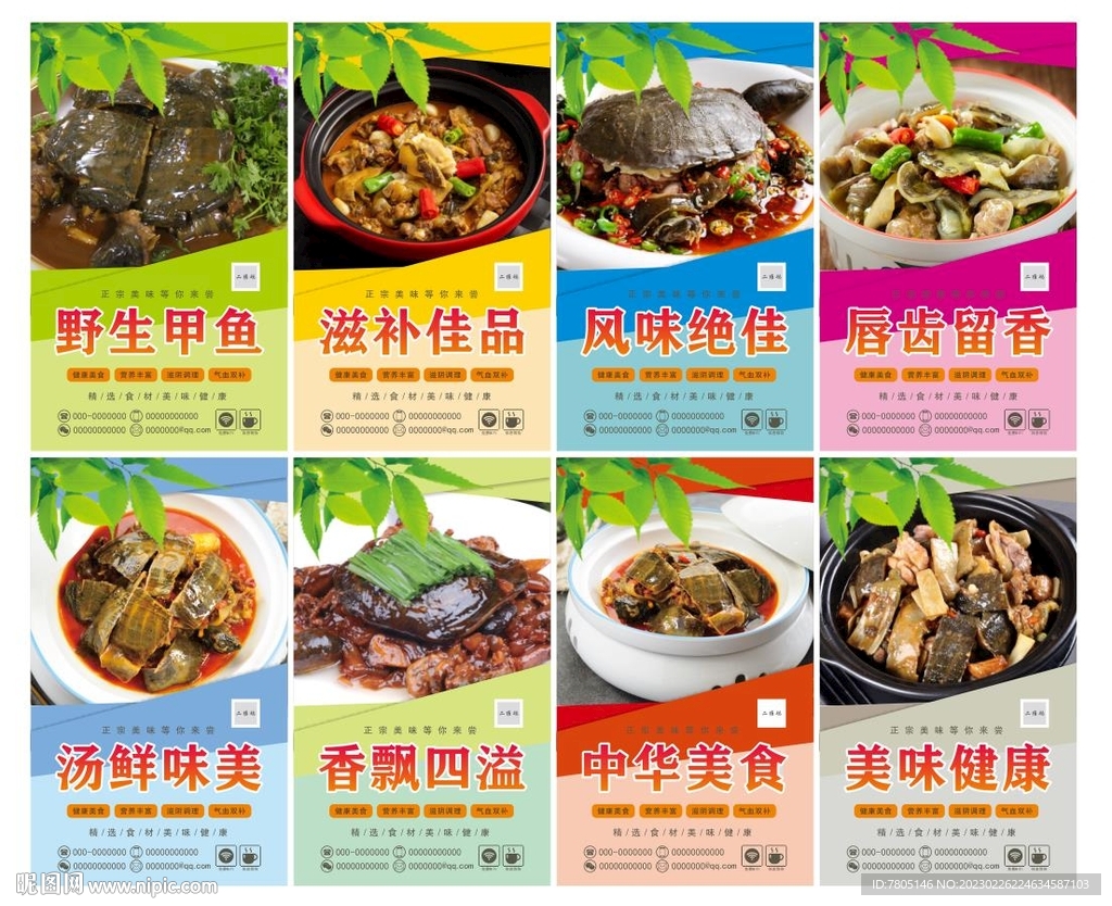 砂锅炖甲鱼