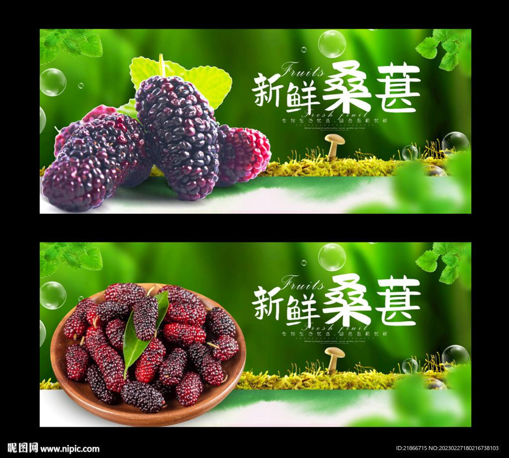 桑葚