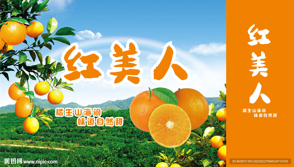 红美人包装