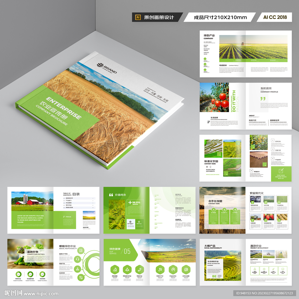 方形农产品宣传册