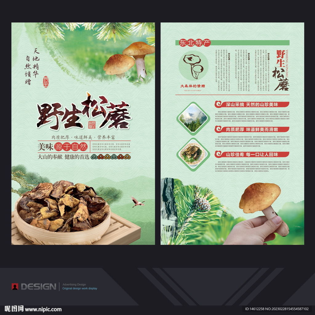 松蘑