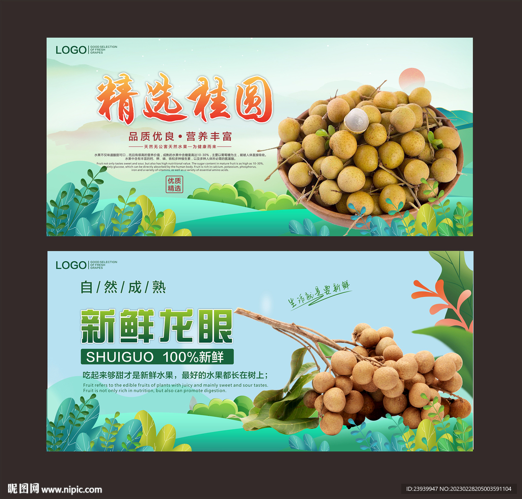 龙眼  桂圆