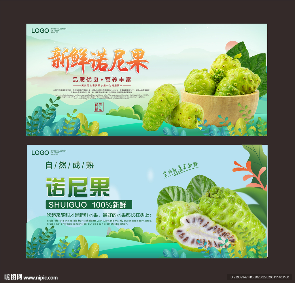 诺尼果