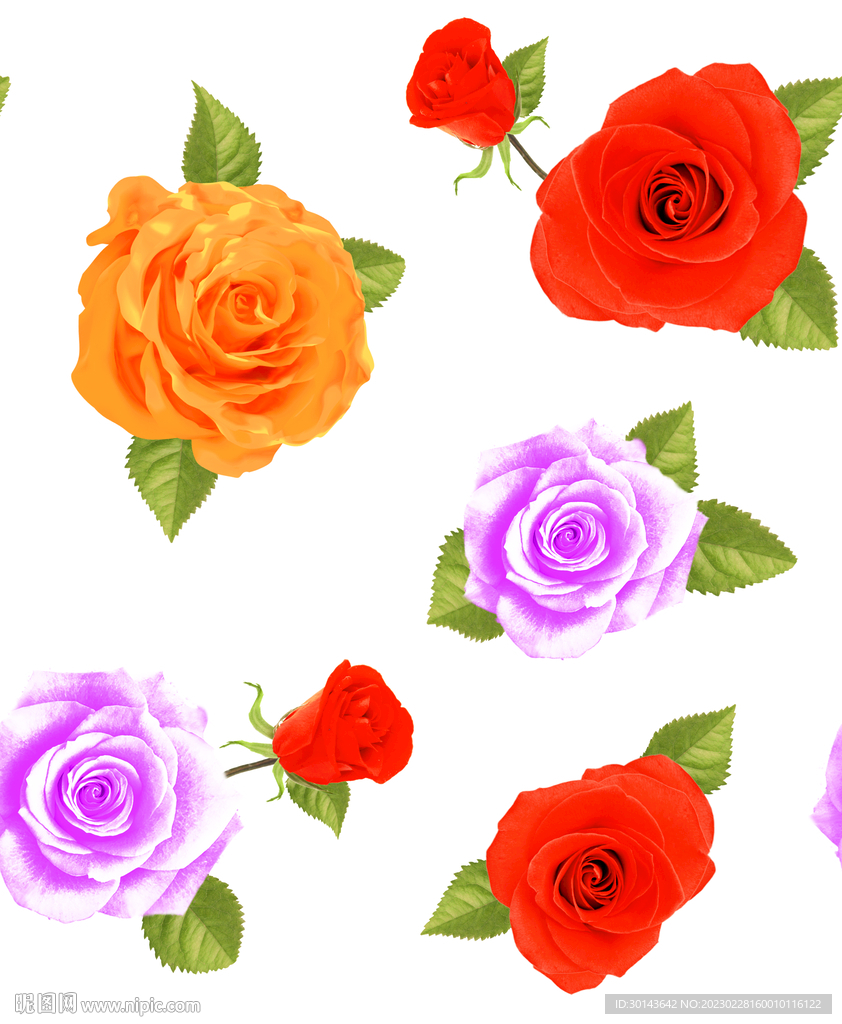 玫瑰花