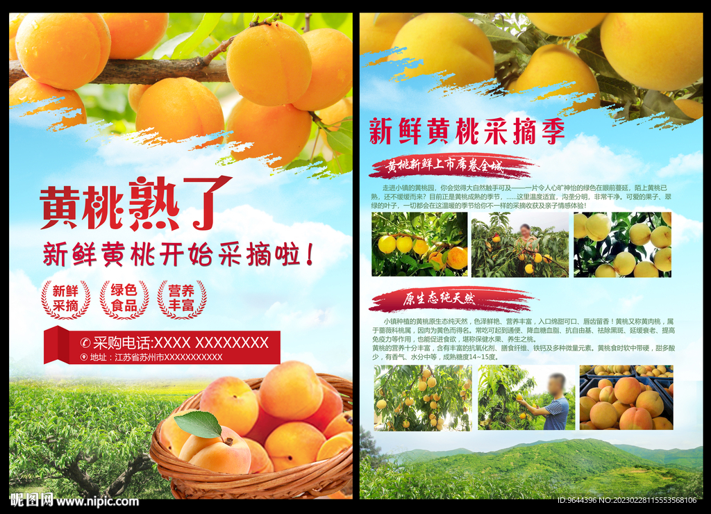 黄桃