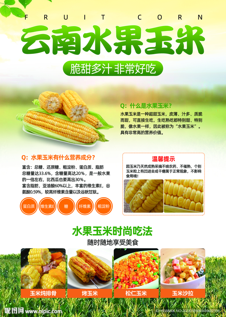 玉米传单DM海报