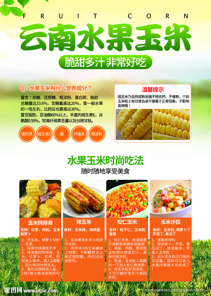 玉米宣传单DM海报