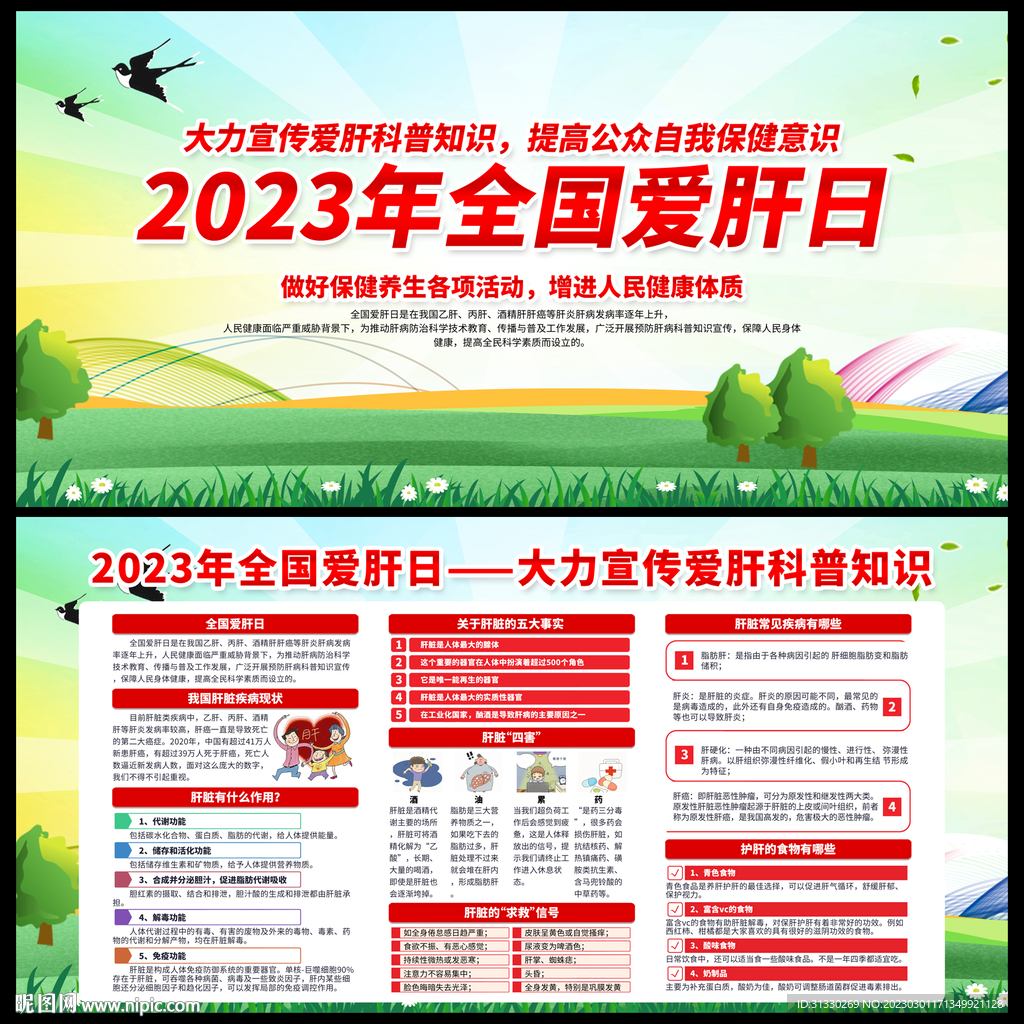 全国爱肝日宣传栏