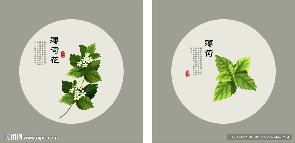 薄荷