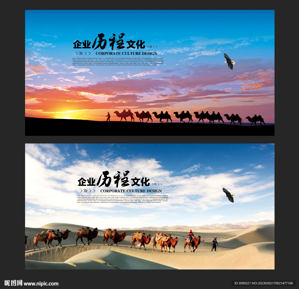 沙漠骆驼