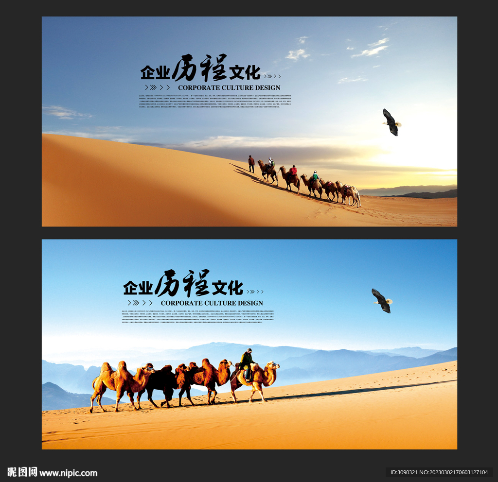 沙漠骆驼海报