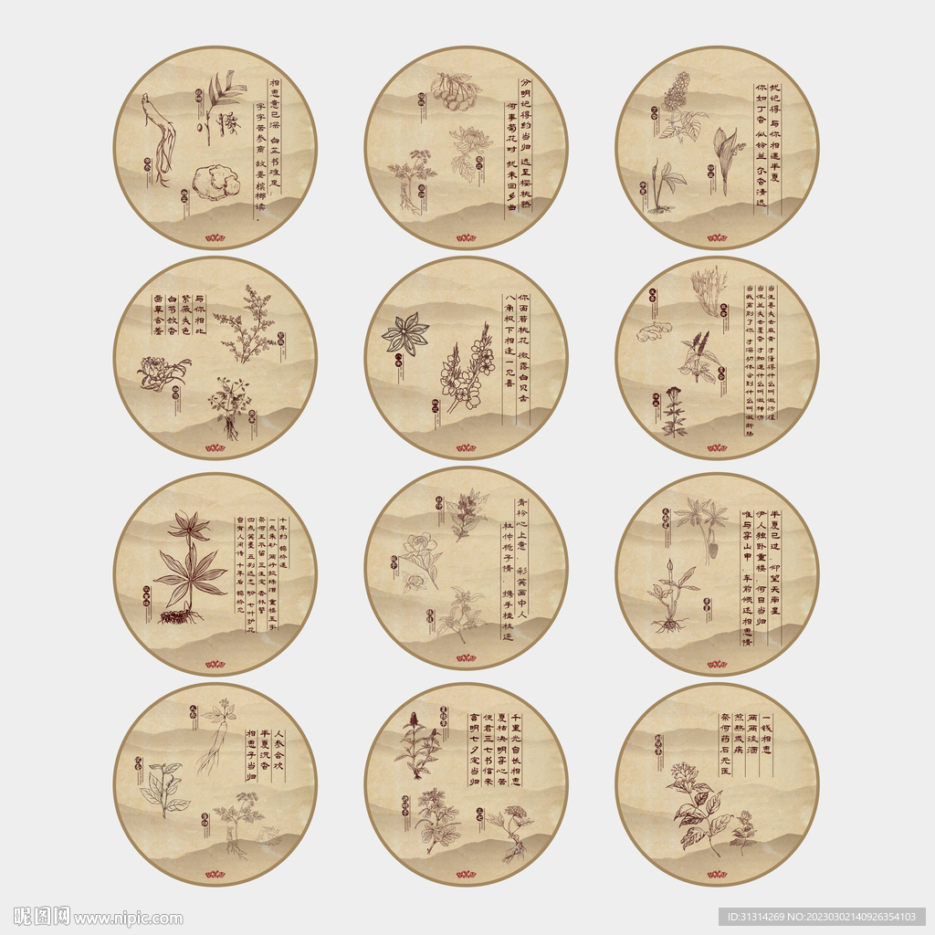 中药文化