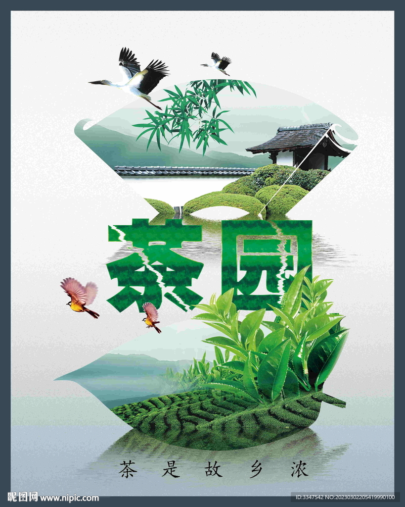 茶园