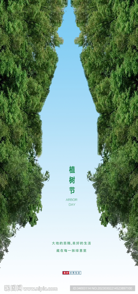 植树节