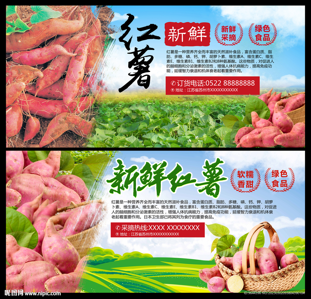 红薯