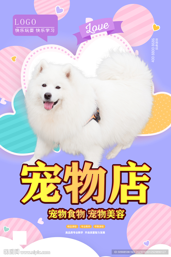 宠物