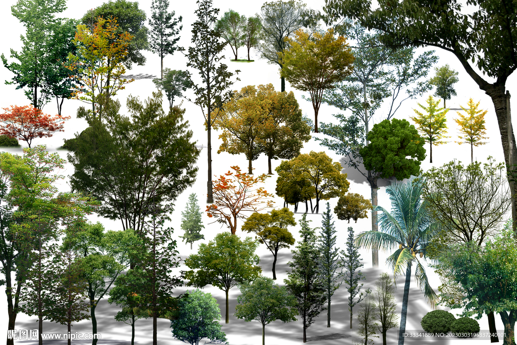 PSD园林景观树木合集