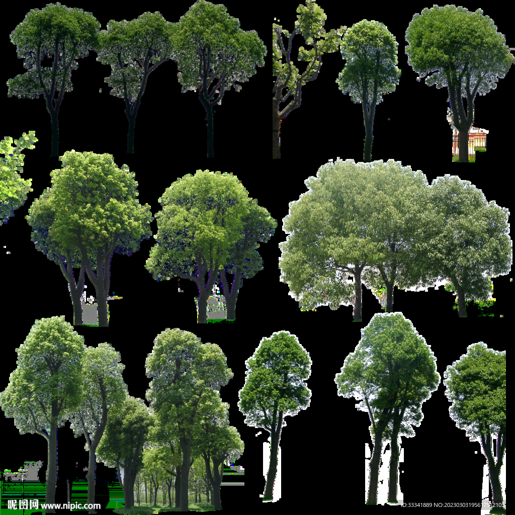 园林效果图树木PSD分层素材