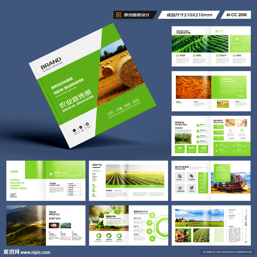 方形农业宣传册