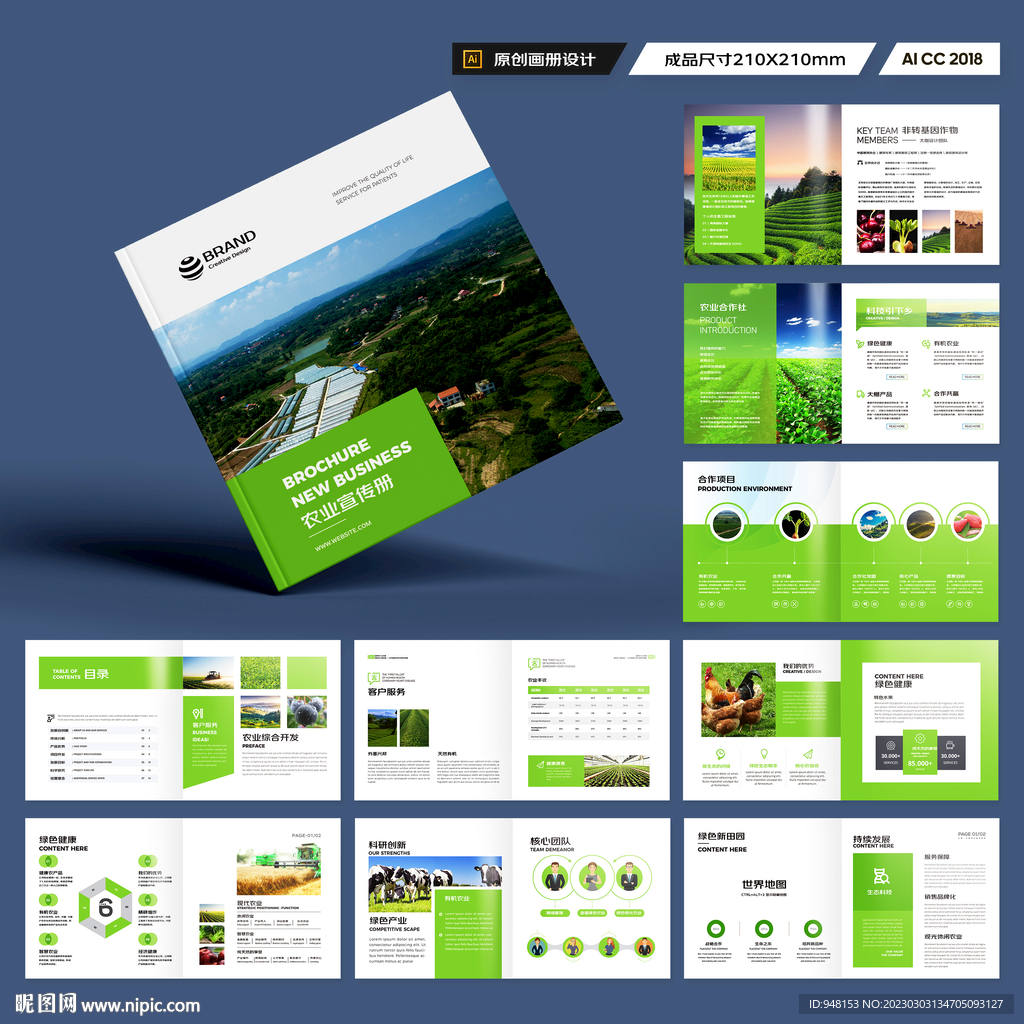 方形农产品宣传册