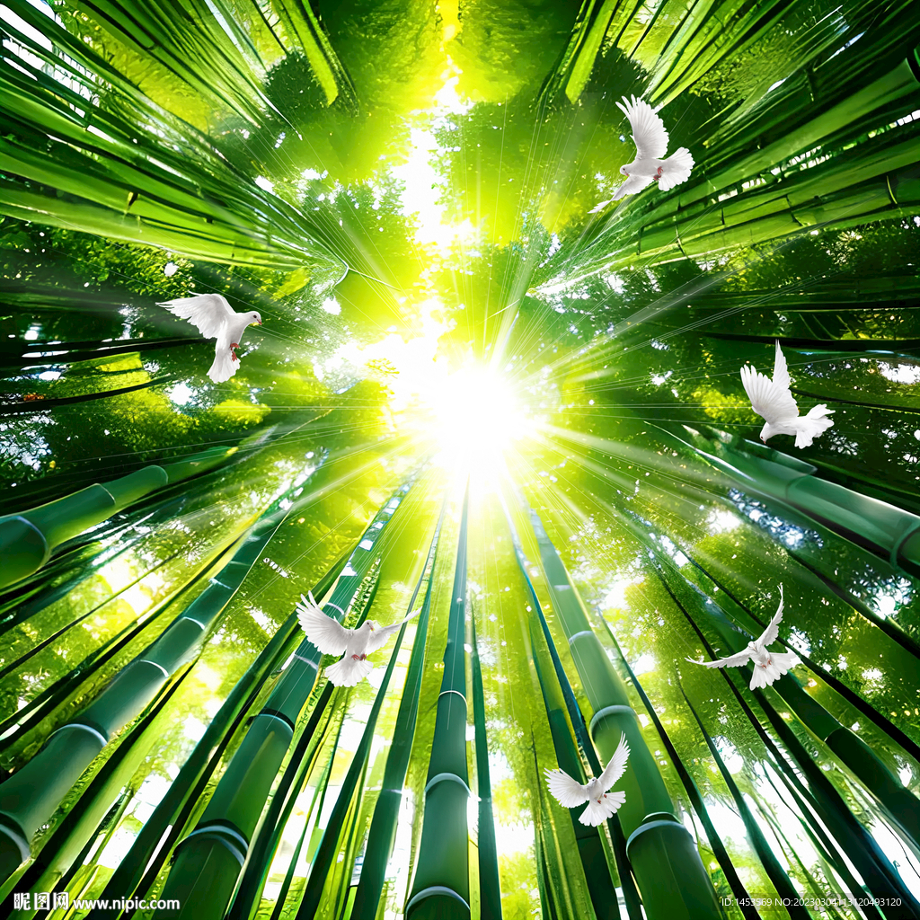 竹林仰望