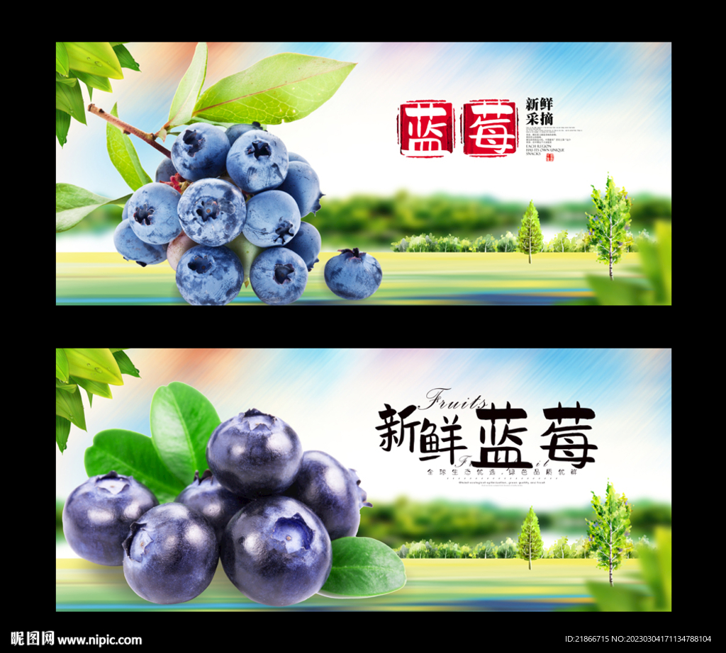 蓝莓