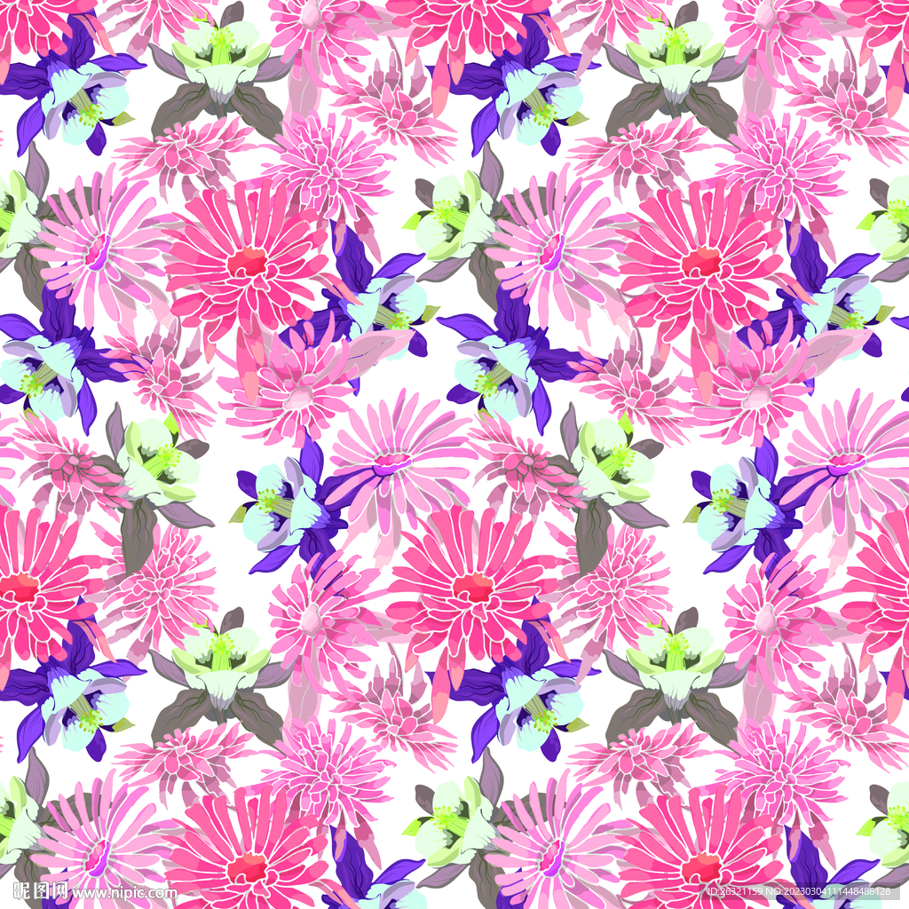 菊花 