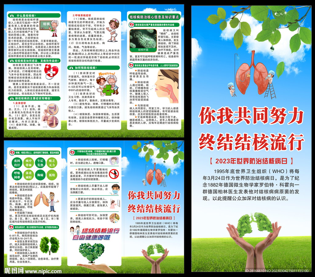 世界防治结核病日三折页