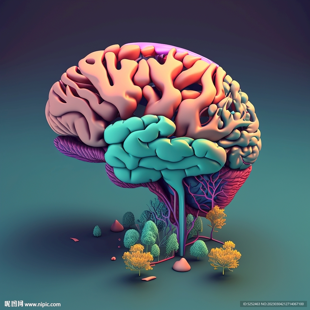 3D大脑模型