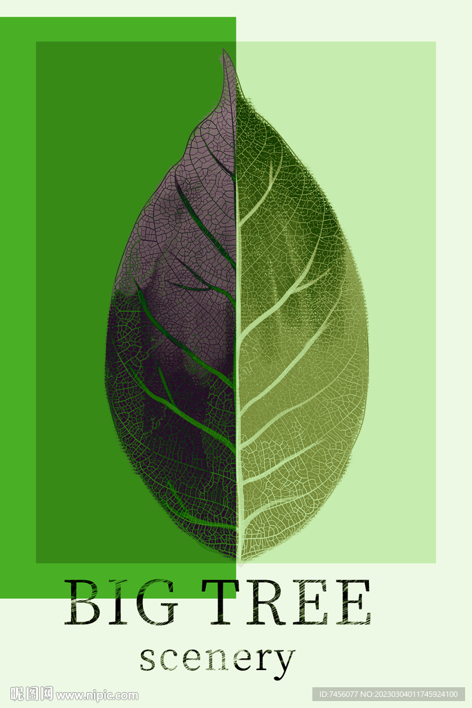 植物树叶水彩插画装饰画