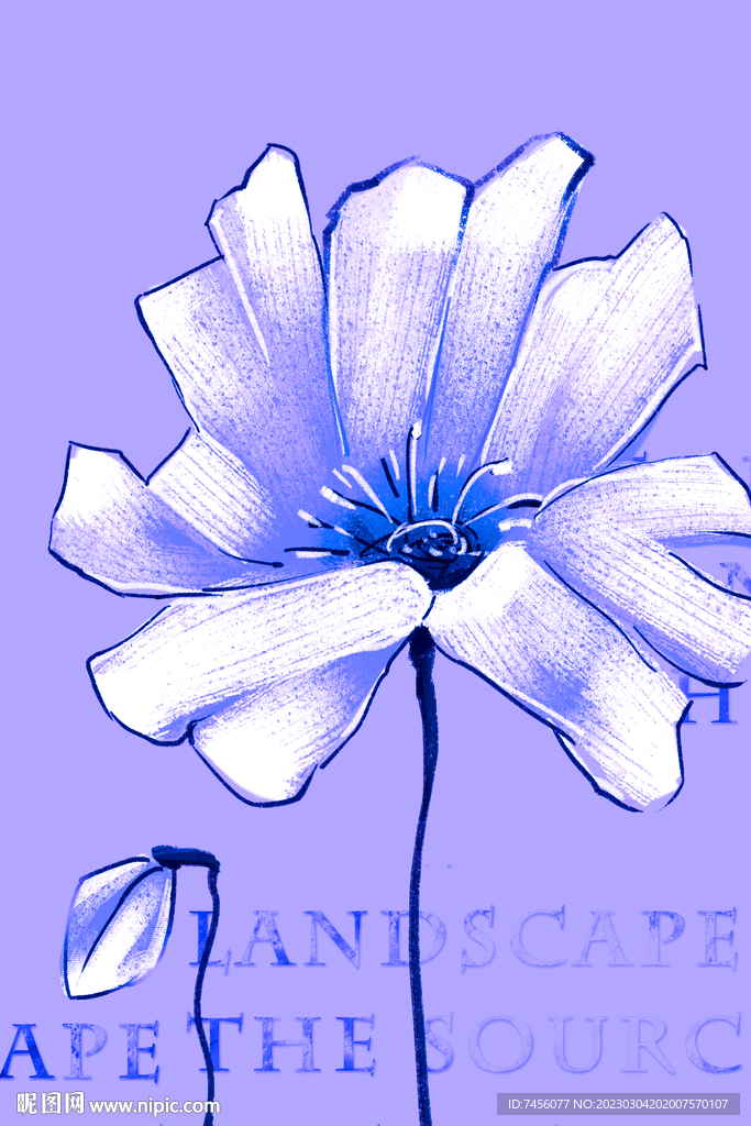 唯美蓝色花卉艺术挂画装饰画